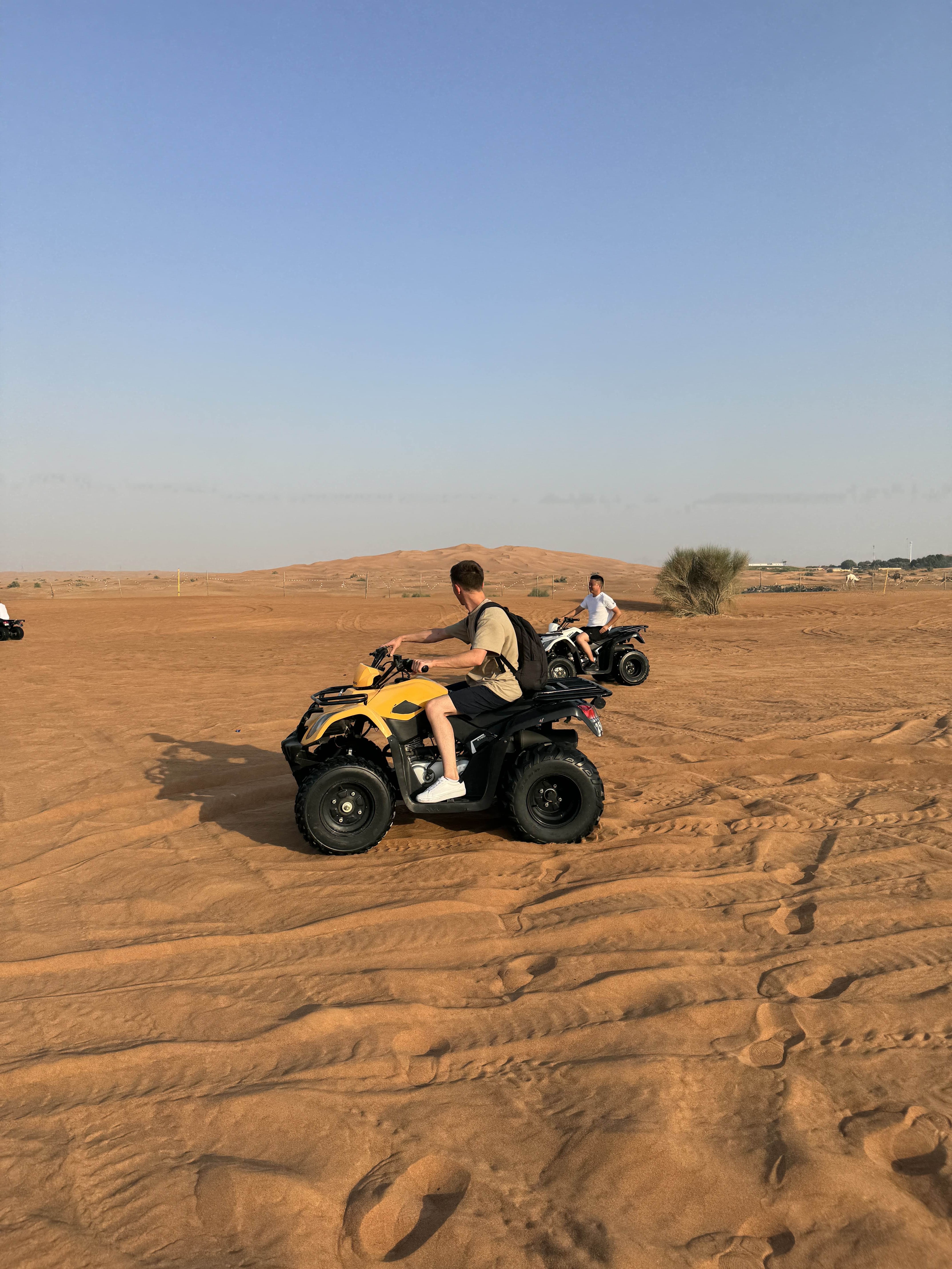 lux opulenta atv gratis